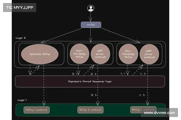 一文概览Rollup生态系统的发展现状