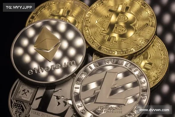 SEC扑灭加密货币》去中心化质押协议 Lido 大涨33，单日交易量暴增40